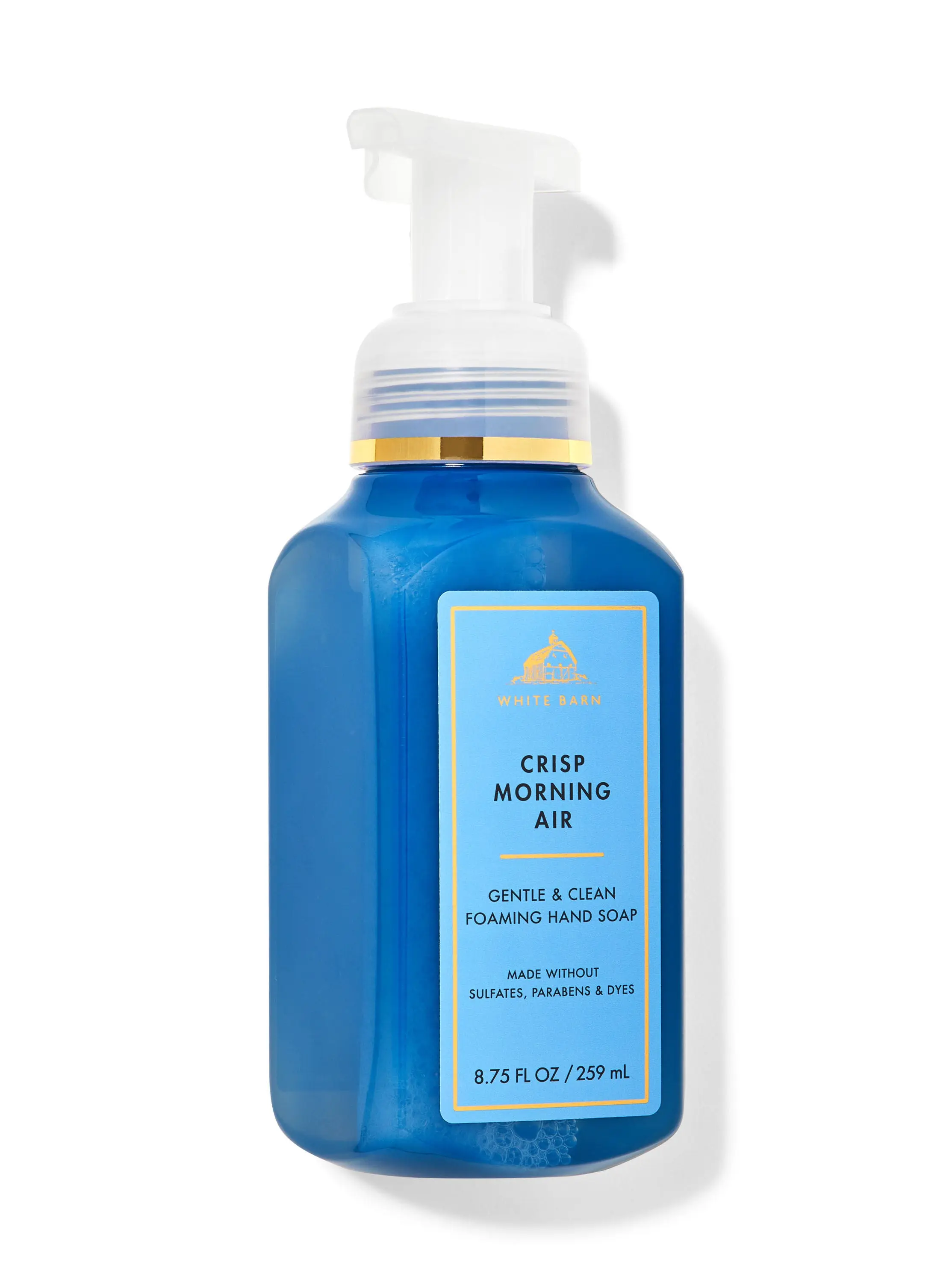 Crisp Morning Air Gentle & Clean Foaming Hand Soap
