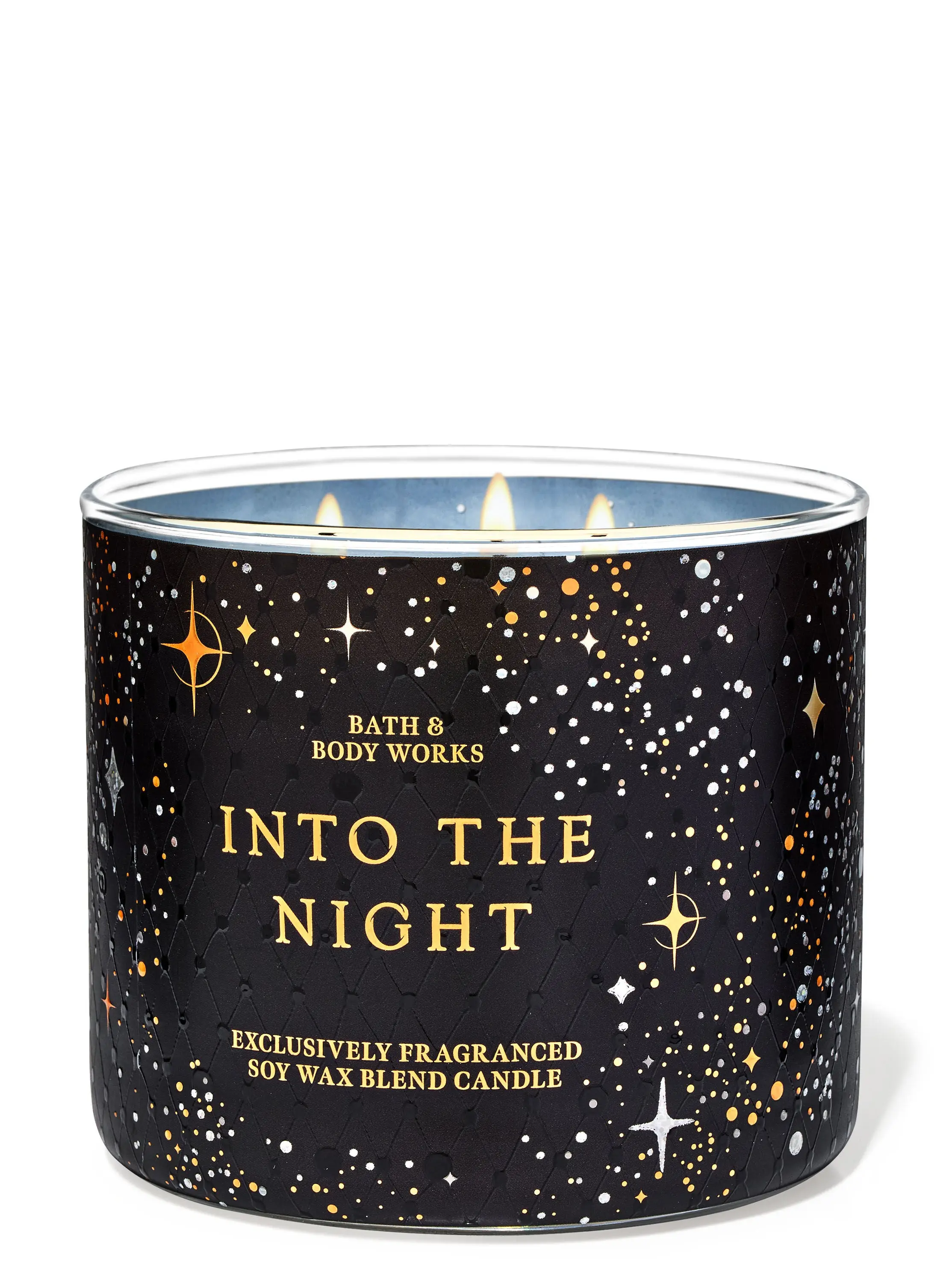 Into the Night 3-Wick Candle