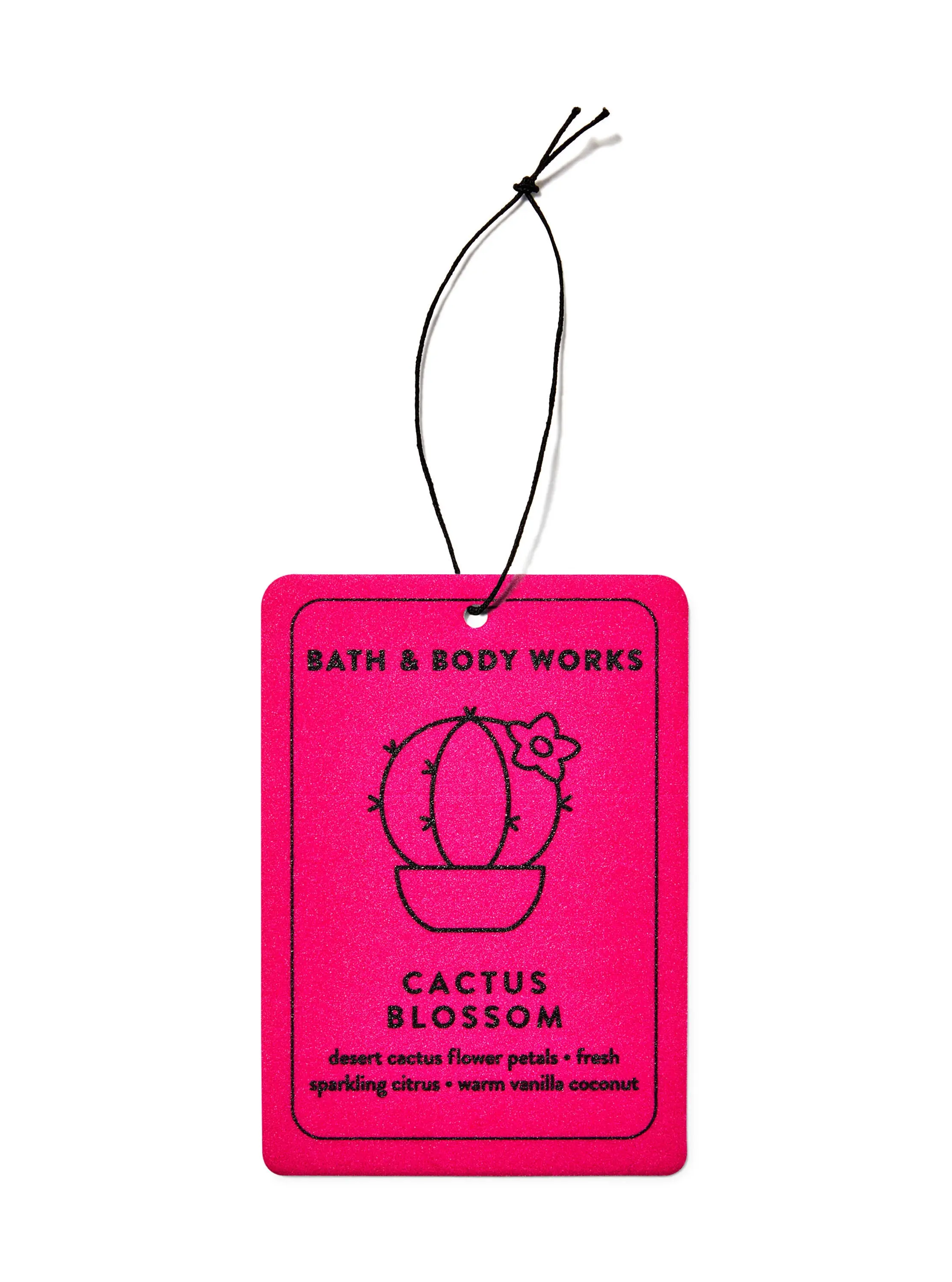 Cactus Blossom Hanging Fragrance Diffuser