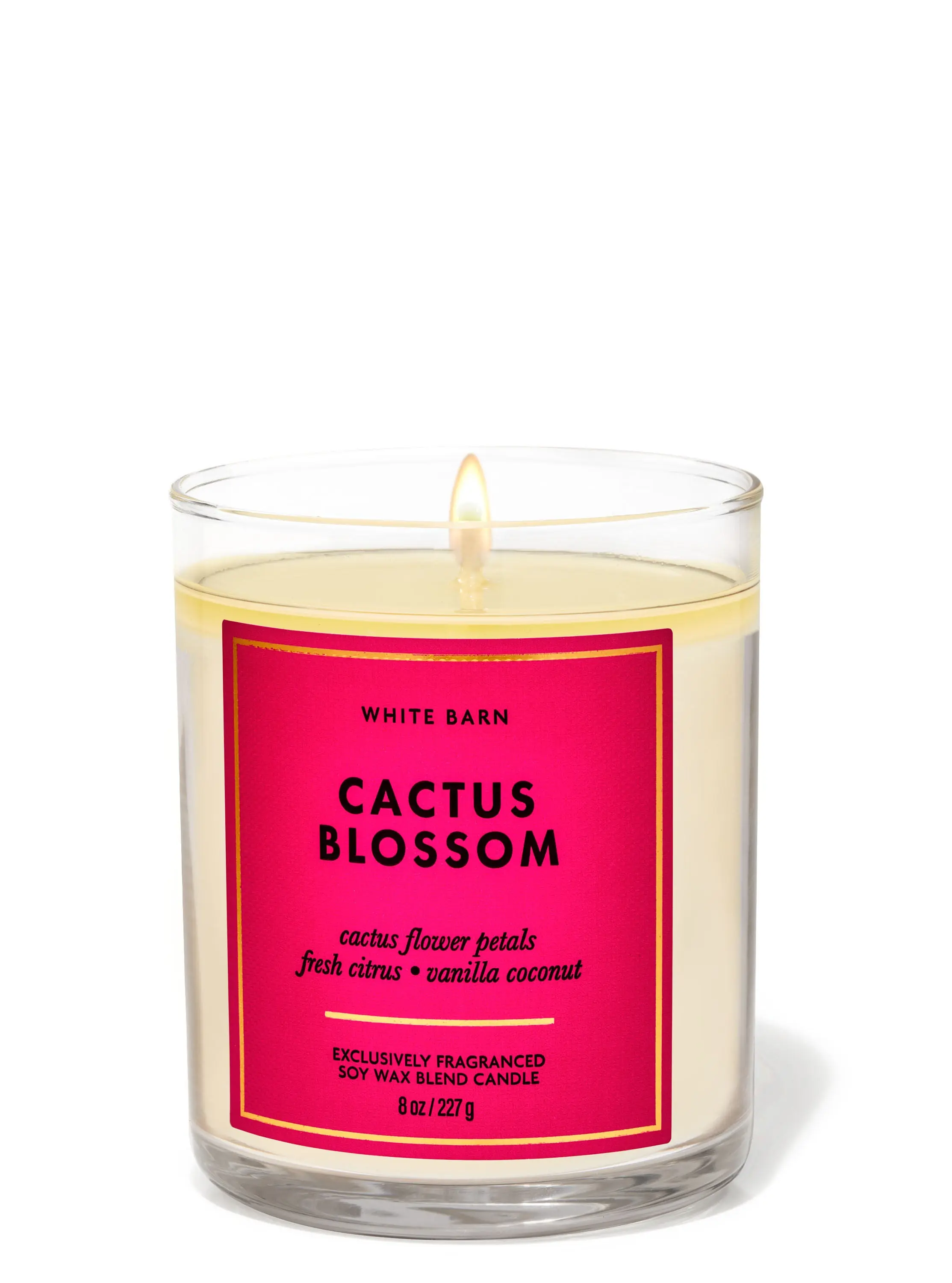 Cactus Blossom Single Wick Candle