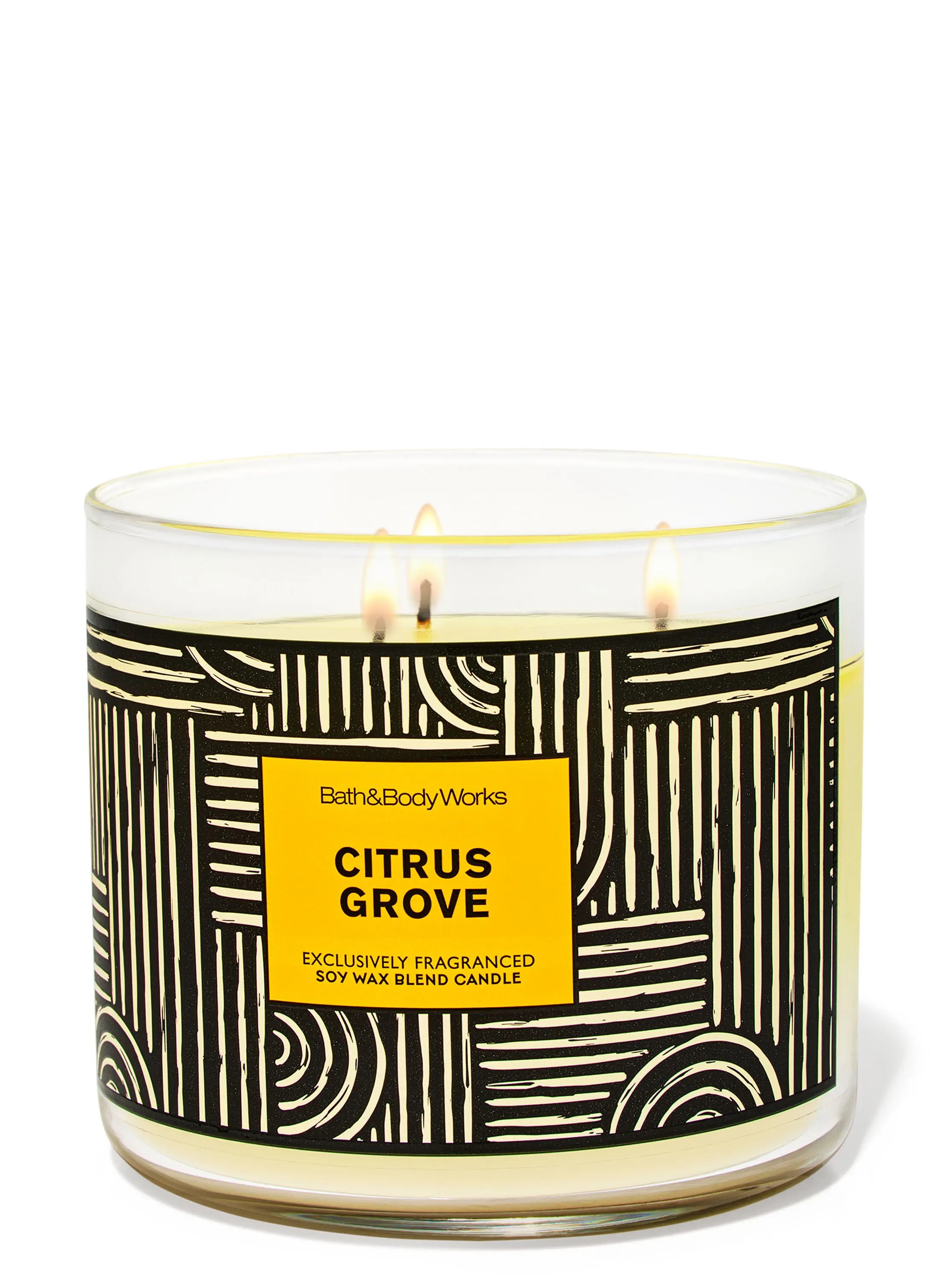 Citrus Grove 3-Wick Candle